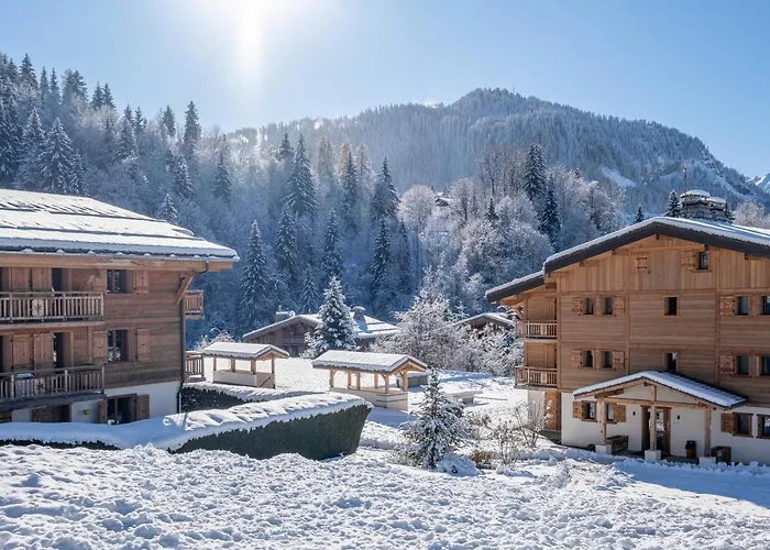 Vvf Mont-blanc Megève