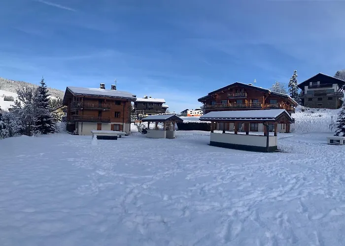 Vvf Mont-blanc Megève