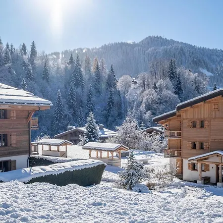 Vvf Mont-blanc Megève