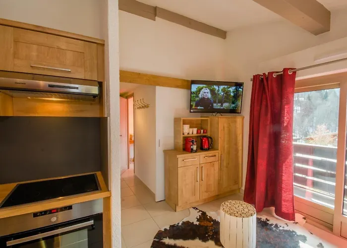 Vvf Mont-blanc 梅杰夫